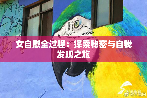 女自慰全过程：探索秘密与自我发现之旅