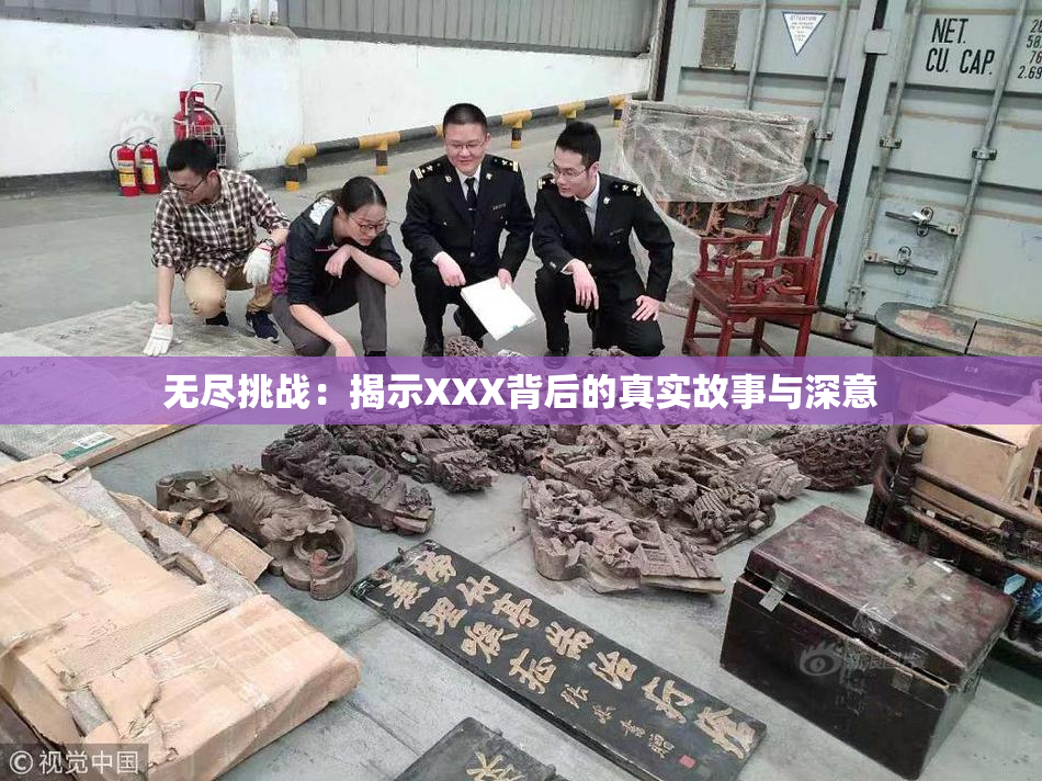 无尽挑战：揭示XXX背后的真实故事与深意