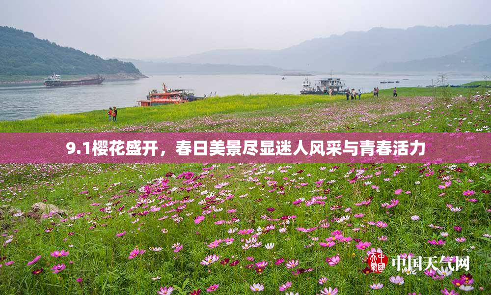 9.1樱花盛开，春日美景尽显迷人风采与青春活力