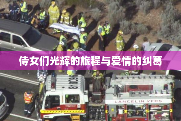 侍女们光辉的旅程与爱情的纠葛