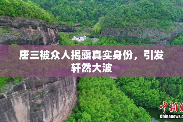 唐三被众人揭露真实身份，引发轩然大波