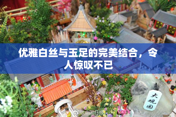 优雅白丝与玉足的完美结合，令人惊叹不已