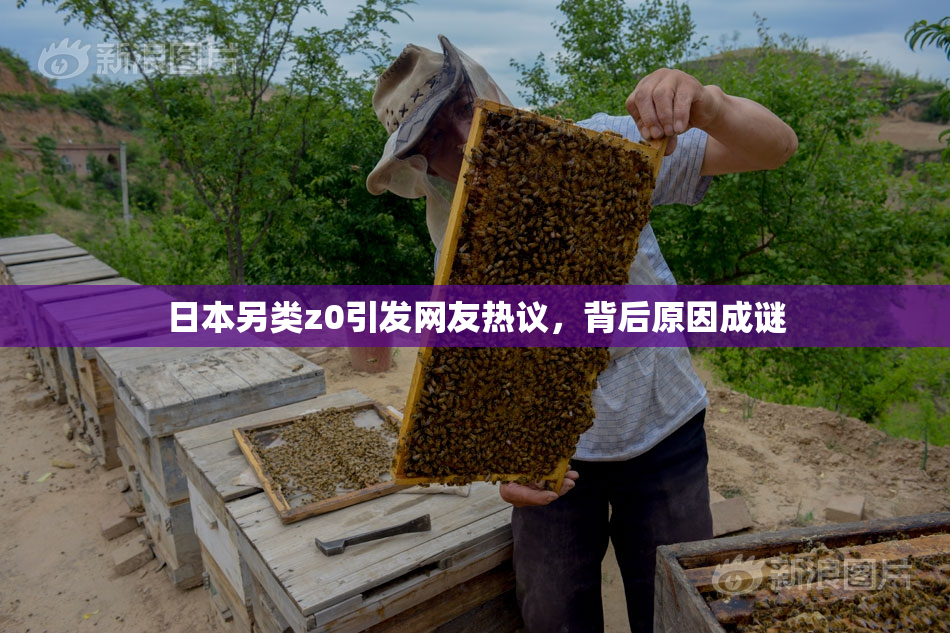 日本另类z0引发网友热议，背后原因成谜