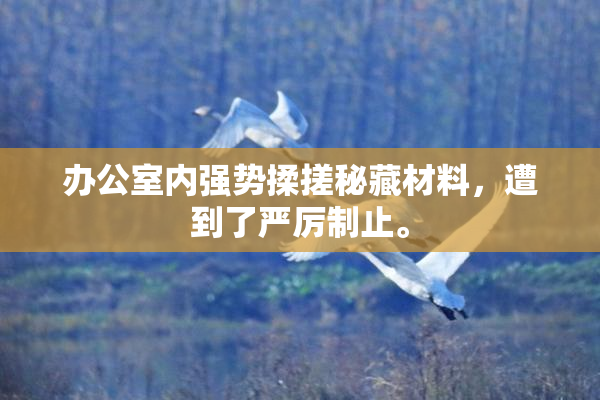 办公室内强势揉搓秘藏材料，遭到了严厉制止。