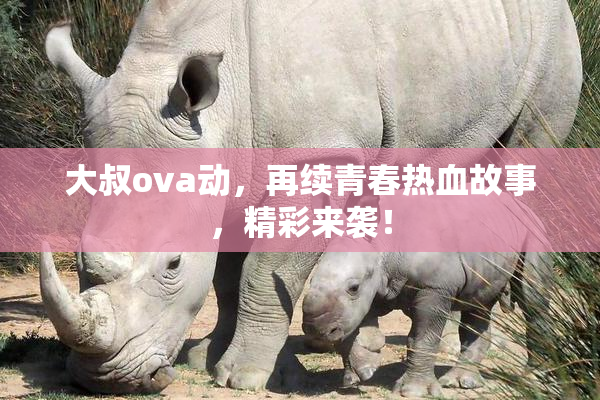 大叔ova动，再续青春热血故事，精彩来袭！