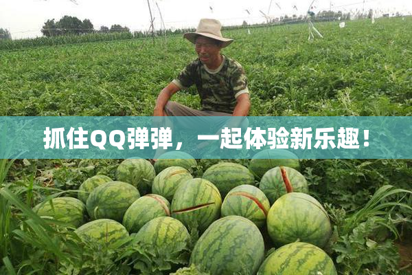 抓住QQ弹弹，一起体验新乐趣！