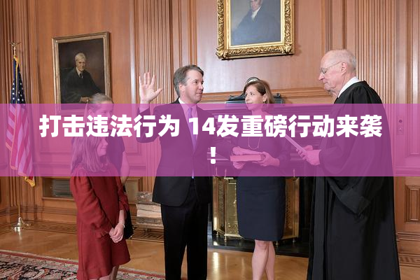 打击违法行为 14发重磅行动来袭！
