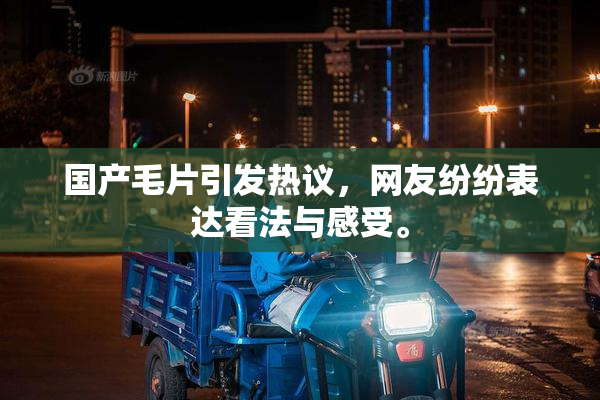 国产毛片引发热议，网友纷纷表达看法与感受。