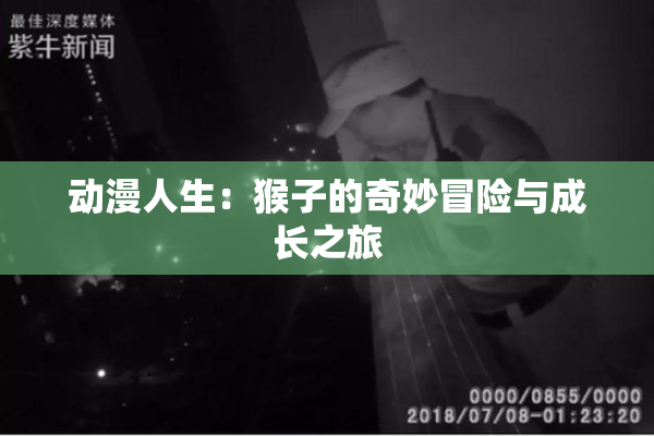 动漫人生：猴子的奇妙冒险与成长之旅