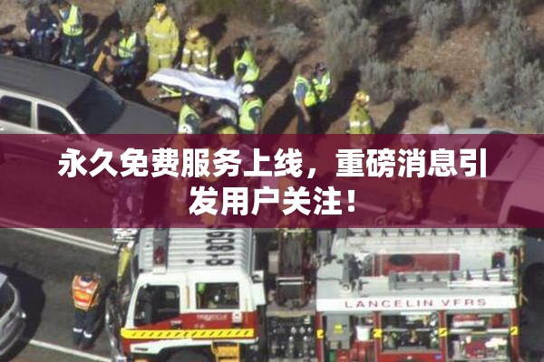 永久免费服务上线，重磅消息引发用户关注！