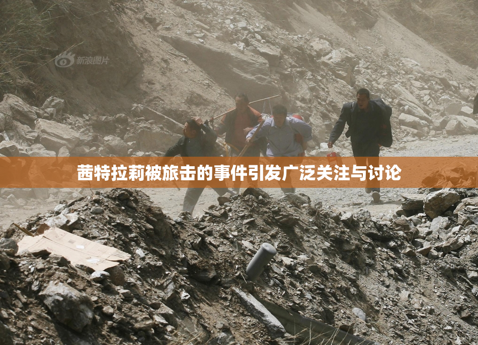 茜特拉莉被旅击的事件引发广泛关注与讨论