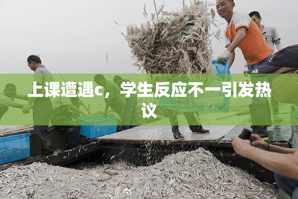上课遭遇c，学生反应不一引发热议