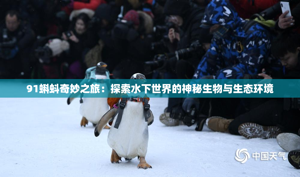91蝌蚪奇妙之旅：探索水下世界的神秘生物与生态环境