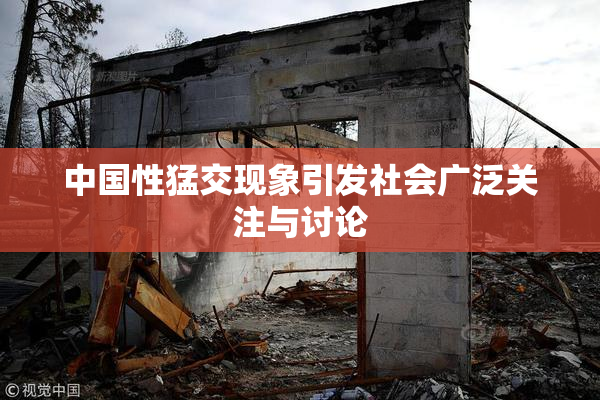 中国性猛交现象引发社会广泛关注与讨论