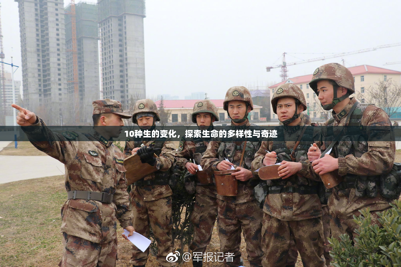 10种生的变化，探索生命的多样性与奇迹