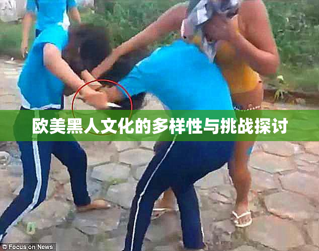 欧美黑人文化的多样性与挑战探讨