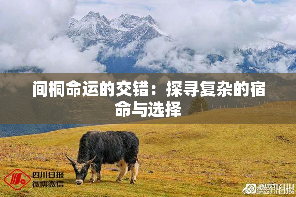 间桐命运的交错：探寻复杂的宿命与选择