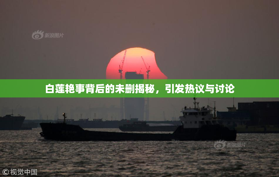 白莲艳事背后的未删揭秘，引发热议与讨论