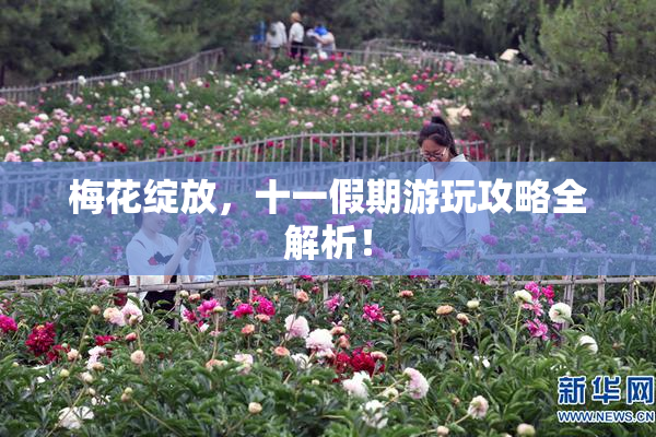 梅花绽放，十一假期游玩攻略全解析！