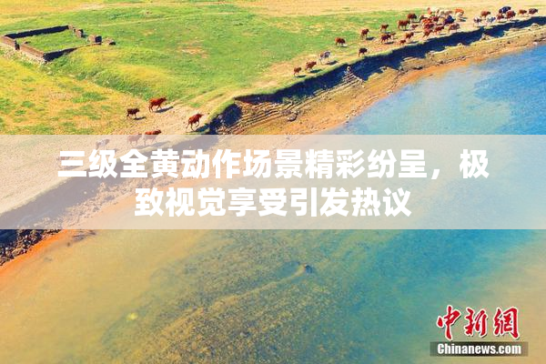 三级全黄动作场景精彩纷呈，极致视觉享受引发热议