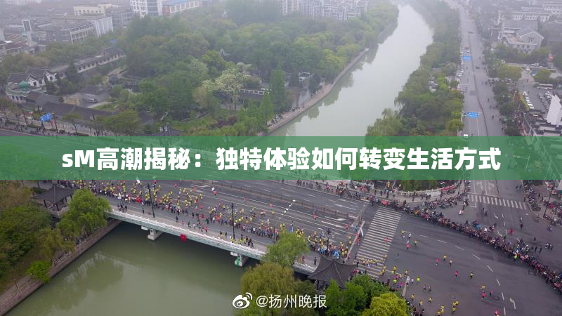 sM高潮揭秘：独特体验如何转变生活方式