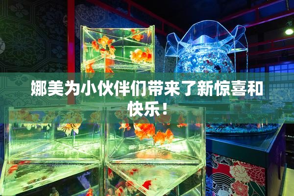 娜美为小伙伴们带来了新惊喜和快乐！