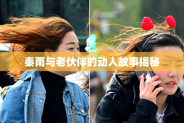 秦雨与老伙伴的动人故事揭秘