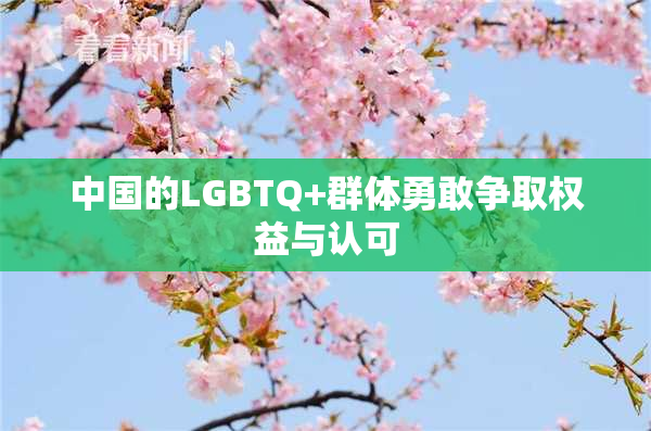 中国的LGBTQ+群体勇敢争取权益与认可