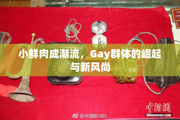 小鲜肉成潮流，Gay群体的崛起与新风尚