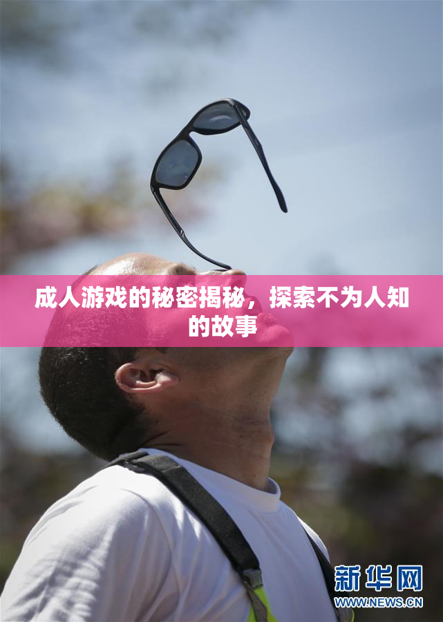 成人游戏的秘密揭秘，探索不为人知的故事