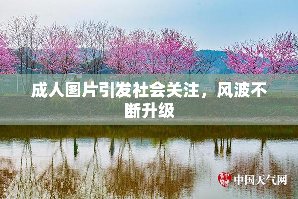 成人图片引发社会关注，风波不断升级