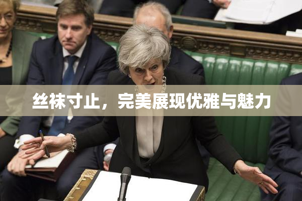 丝袜寸止，完美展现优雅与魅力