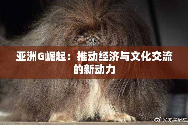 亚洲G崛起：推动经济与文化交流的新动力