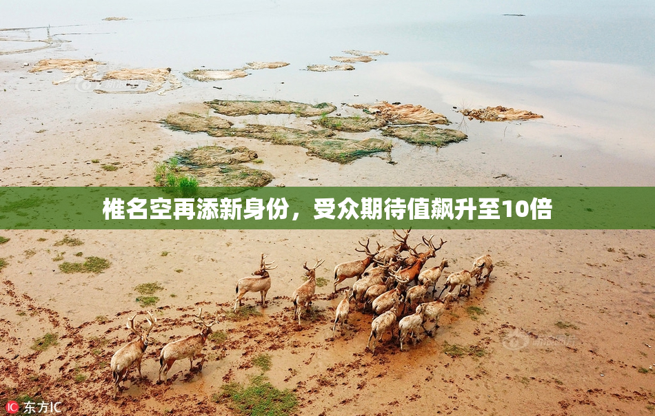 椎名空再添新身份，受众期待值飙升至10倍