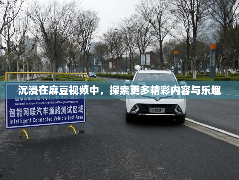 沉浸在麻豆视频中，探索更多精彩内容与乐趣