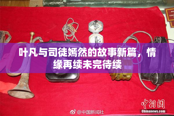 叶凡与司徒嫣然的故事新篇，情缘再续未完待续