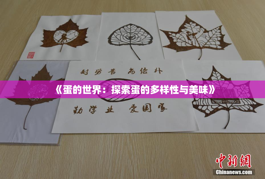 《蛋的世界：探索蛋的多样性与美味》