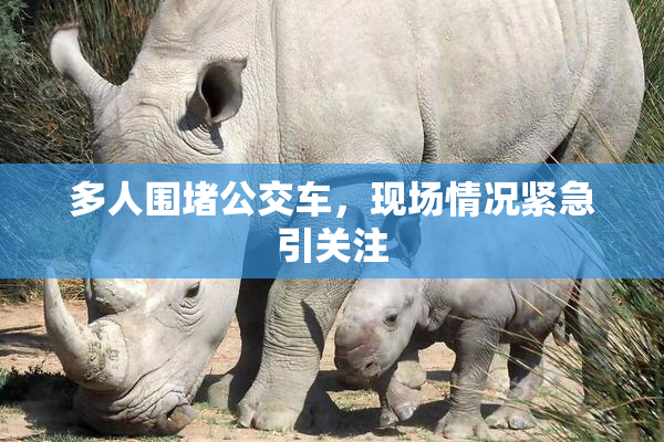 多人围堵公交车，现场情况紧急引关注