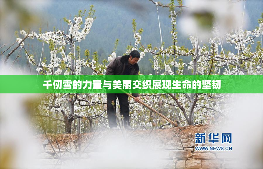 千仞雪的力量与美丽交织展现生命的坚韧