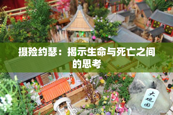 摄殓约瑟：揭示生命与死亡之间的思考