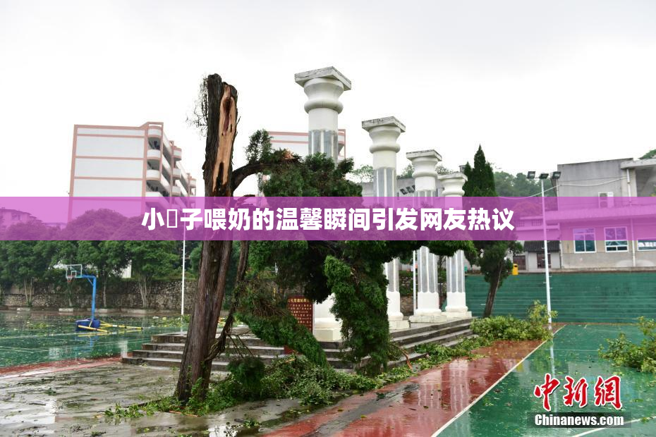 小峓子喂奶的温馨瞬间引发网友热议