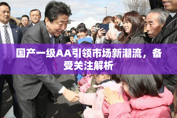 国产一级AA引领市场新潮流，备受关注解析