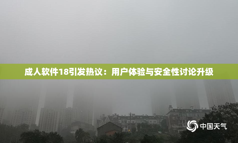 成人软件18引发热议：用户体验与安全性讨论升级