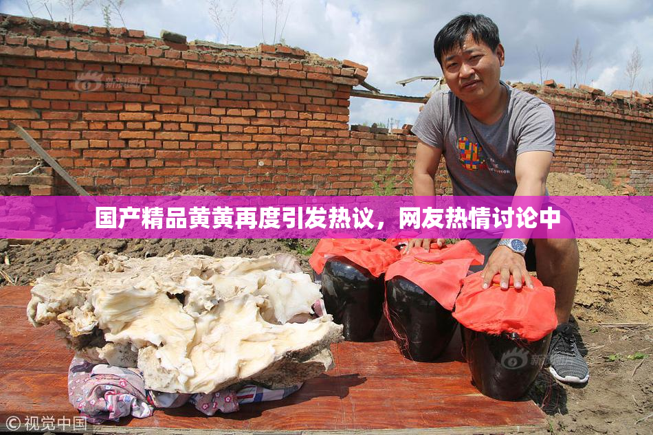 国产精品黄黄再度引发热议，网友热情讨论中
