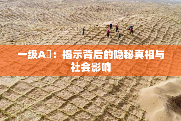 一级A婬：揭示背后的隐秘真相与社会影响