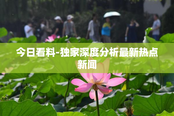 今日看料-独家深度分析最新热点新闻