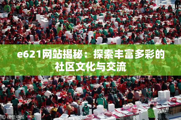 e621网站揭秘：探索丰富多彩的社区文化与交流
