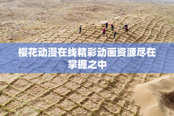 樱花动漫在线精彩动画资源尽在掌握之中