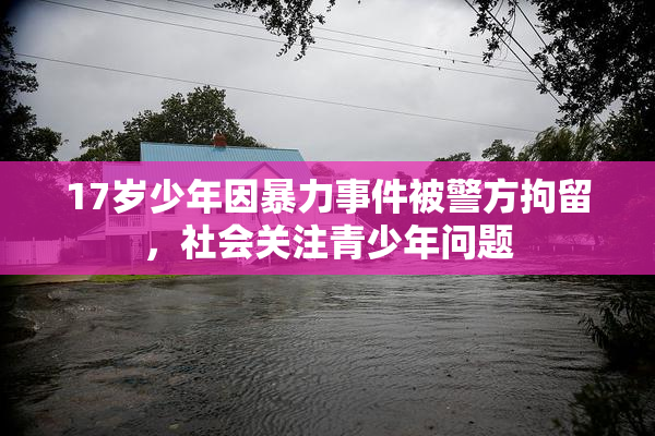 17岁少年因暴力事件被警方拘留，社会关注青少年问题