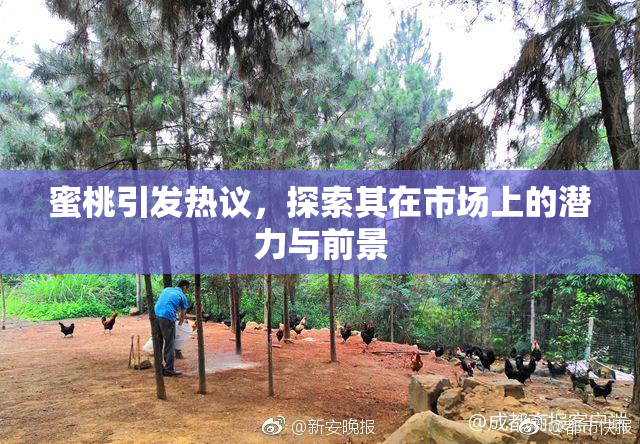 蜜桃引发热议，探索其在市场上的潜力与前景